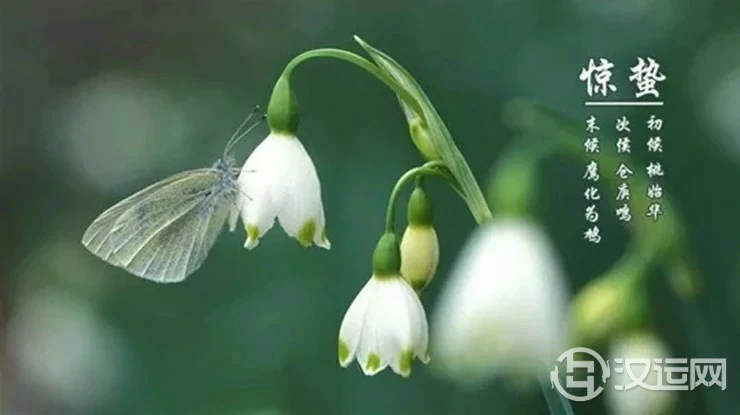 惊蛰时节命理专家给你的开运指南 惊蛰时节命理专家给你的开运指南