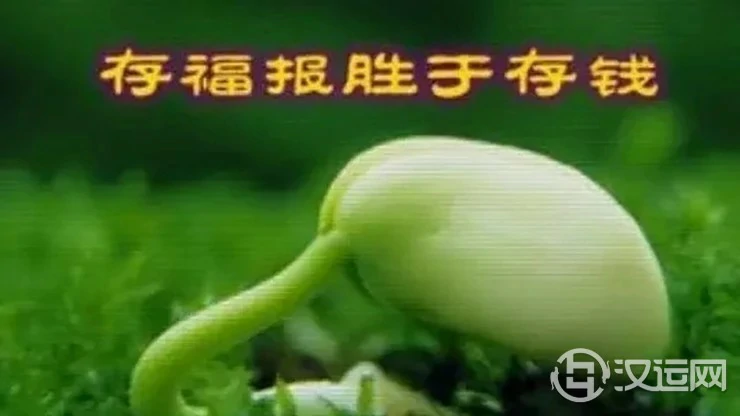 天生爱做好事,会获得很多福报的生肖 天生爱做好事,会获得很多福报的生肖
