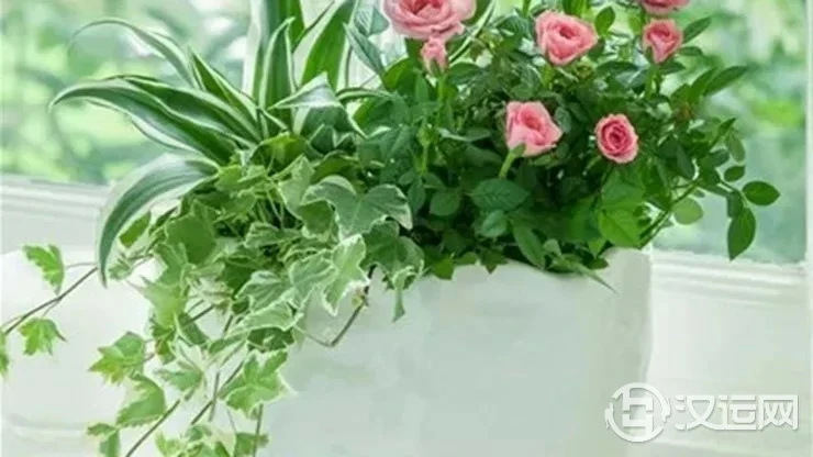 办公室内不能随意摆放鲜花,不然会坏你运势! 办公室内不能随意摆放鲜花,不然会坏你运势!