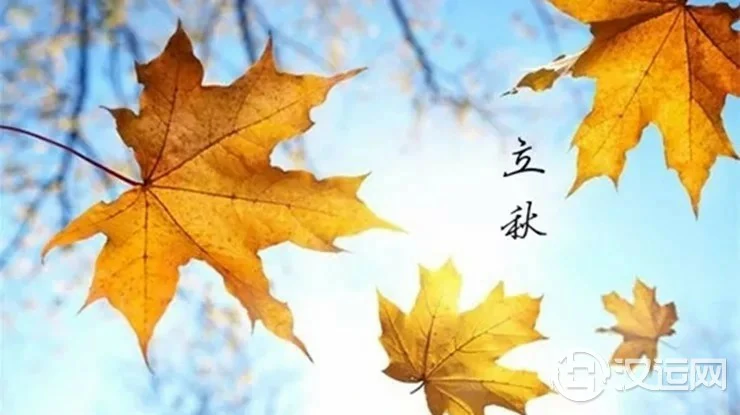 立秋节气来临,如何旺运开运? 立秋节气来临,如何旺运开运?