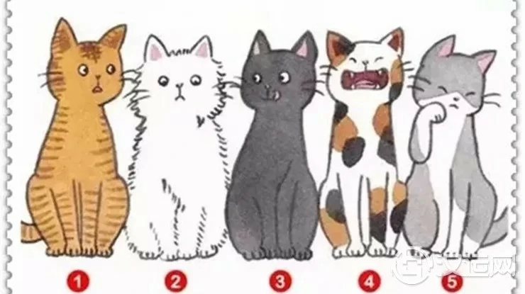 五只猫选一只,测出你在别人眼中的印象 五只猫选一只,测出你在别人眼中的印象