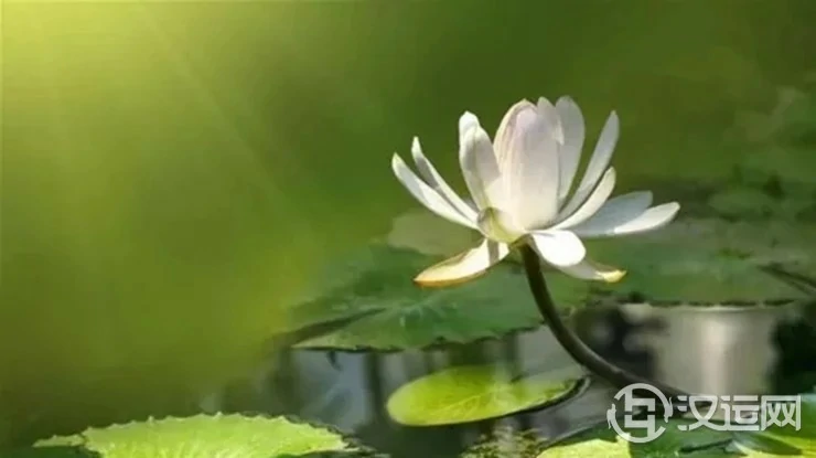命理杂谈:生死有命须知命,富贵在天莫思逆天 命理杂谈:生死有命须知命,富贵在天莫思逆天