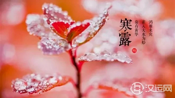 寒露将至:你的运势会受到影响吗? 寒露将至:你的运势会受到影响吗?