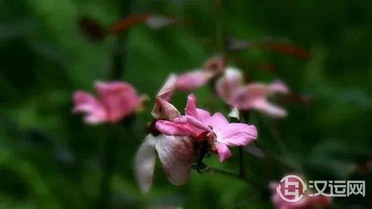生命灵数看是什么阻挡了你的桃花运 生命灵数看是什么阻挡了你的桃花运