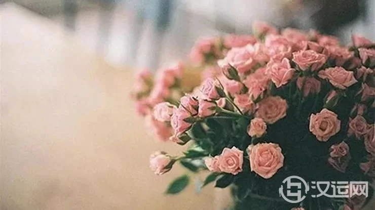 这四个时辰出生的人桃花运最旺 这四个时辰出生的人桃花运最旺