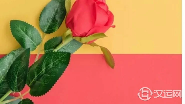 玫瑰花测你对爱情到底有多忠贞 玫瑰花测你对爱情到底有多忠贞