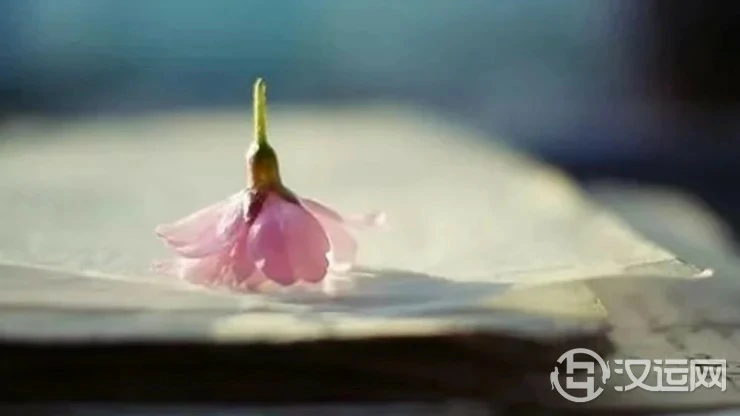 出生日期看出你的运势、感情与命中贵人 出生日期看出你的运势、感情与命中贵人