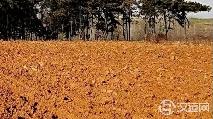 命理分析:土命之人何时出生身最旺? 命理分析:土命之人何时出生身最旺?