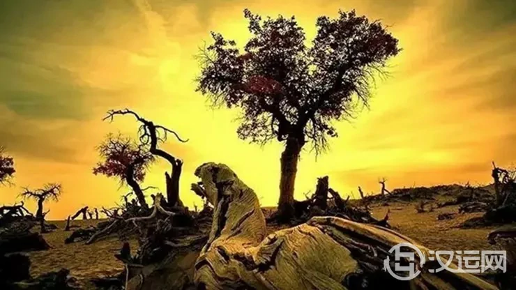 现代人对人生命运有哪些误解 现代人对人生命运有哪些误解