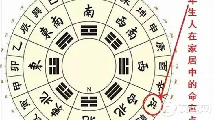 戌年出生之人(生肖属狗)家居风水布置要点 戌年出生之人(生肖属狗)家居风水布置要点