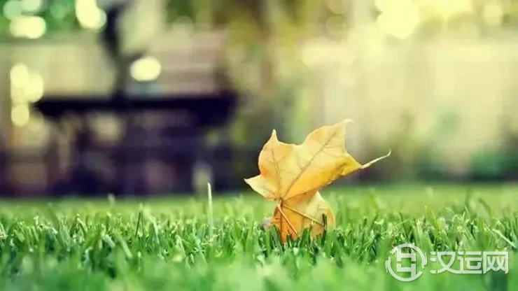 为什么有的人运气越来越好,有的人越来越差? 为什么有的人运气越来越好,有的人越来越差?