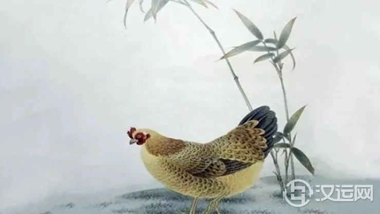 双鸡命是什么意思,运势有什么好处? 双鸡命是什么意思,运势有什么好处?