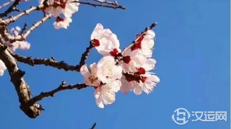 八字算命基础——五行与十二长生的关系 八字算命基础——五行与十二长生的关系