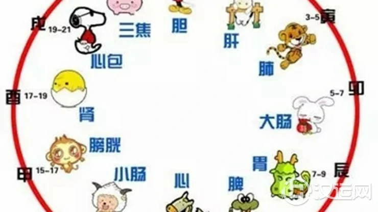 国学文化:12生肖与十二时辰的秘密关系 国学文化:12生肖与十二时辰的秘密关系