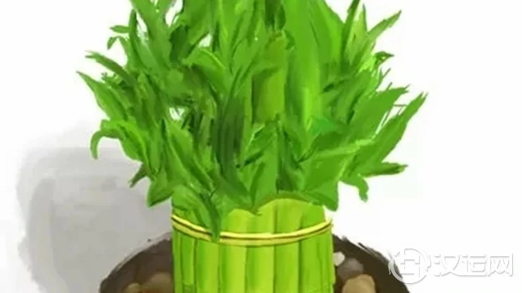 可以旺财运和桃花的风水植物,你一定不知道! 可以旺财运和桃花的风水植物,你一定不知道!