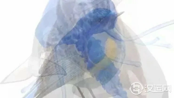 第一眼看到哪只动物?测出你的假象与真实性格 第一眼看到哪只动物?测出你的假象与真实性格
