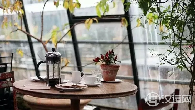 适合不同五行生肖的开运植物 适合不同五行生肖的开运植物