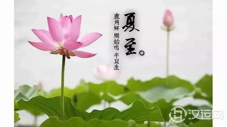 夏至将至,开运宜忌提前知 夏至将至,开运宜忌提前知