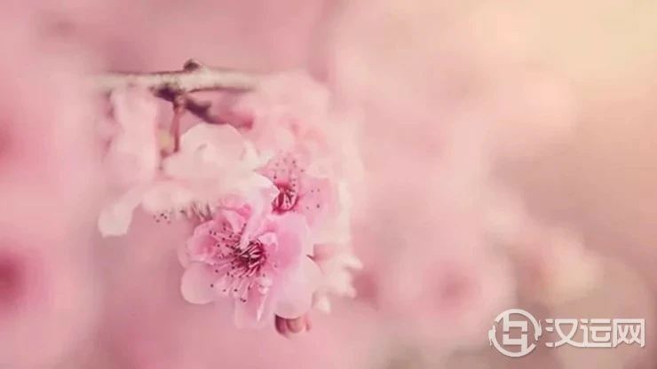 从八字看人最容易犯桃花的六个流年 从八字看人最容易犯桃花的六个流年