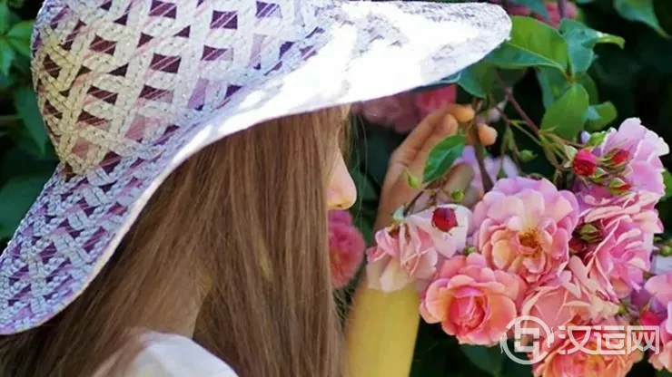 被动软弱,易因犹豫不决错过真爱的星座 被动软弱,易因犹豫不决错过真爱的星座