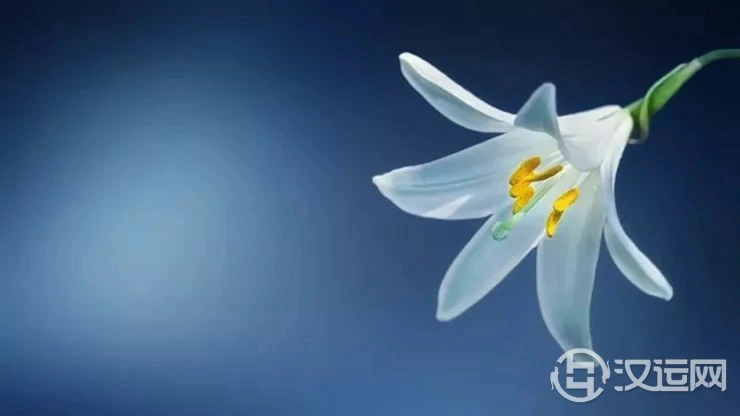 年过四十仍无子 他又是如何改变命运的呢? 年过四十仍无子 他又是如何改变命运的呢?