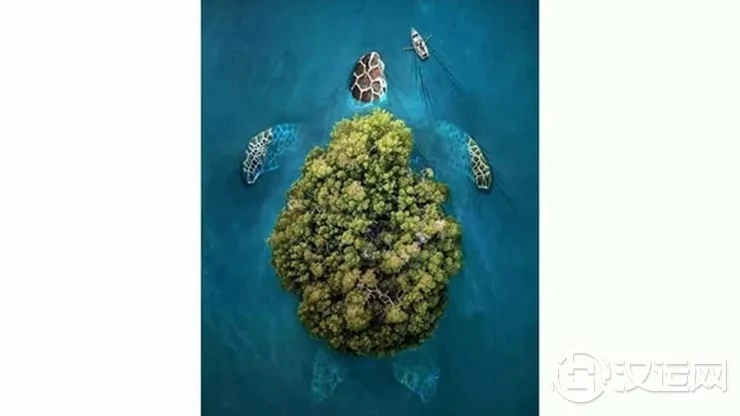 第一眼看到什么,测你年底前工作生活会如鱼得水吗? 第一眼看到什么,测你年底前工作生活会如鱼得水吗?