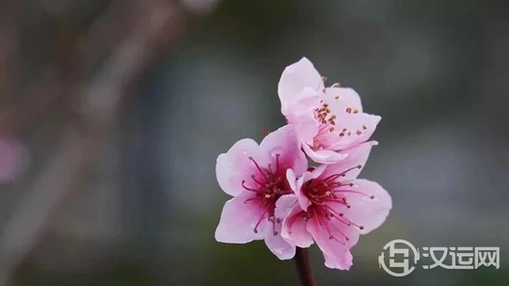 “八专九丑”到底是哪几个日期? “八专九丑”到底是哪几个日期?