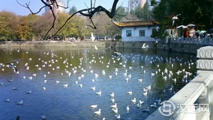 12星座最适合居住的城市 12星座最适合居住的城市