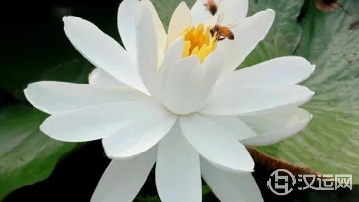 欲望无边,凡事有度 欲望无边,凡事有度