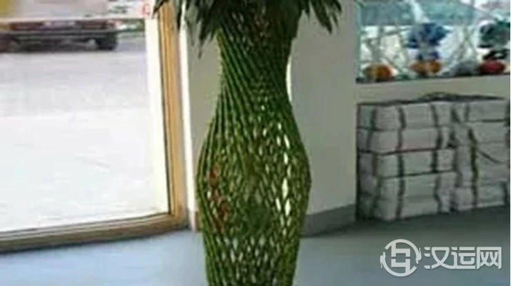 办公室风水之植物绿化 办公室风水之植物绿化