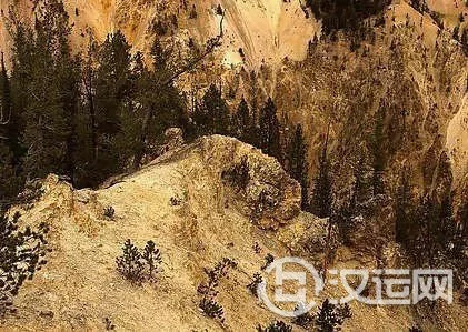 戊土详解