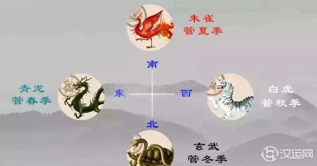 青龙白虎,在生活中有哪些应用