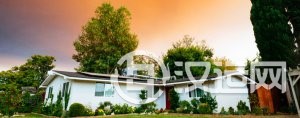 慎重书画布置,题材五行有玄机 慎重书画布置,题材五行有玄机