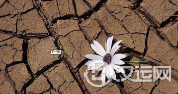 起名字:五行缺金缺水怎么办?