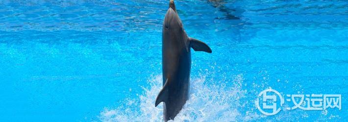 周易百家姓,纪姓宝宝周易起名