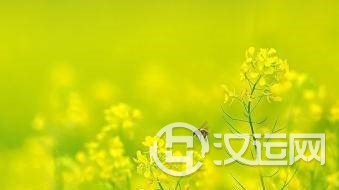 何为“地支遁藏”?请朋友指点