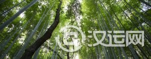 《周易》到底都讲了什么东西呢 《周易》到底都讲了什么东西呢
