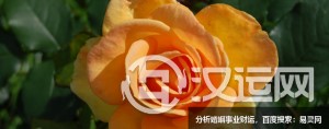 周易藏着的三原则,教我们智慧 周易藏着的三原则,教我们智慧