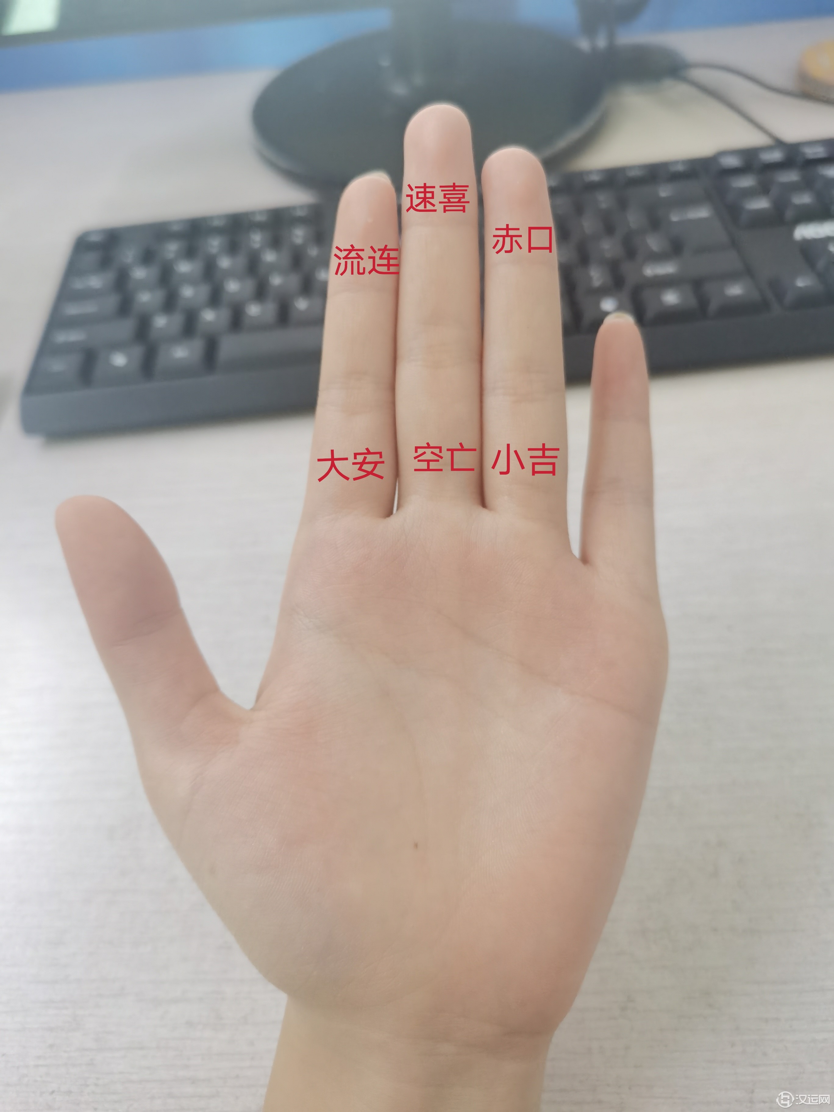 最简单的掐指一算,你学会了吗? 最简单的掐指一算,你学会了吗?