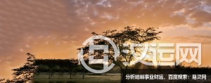 夫妻八字配有什么独到之处吗? 夫妻八字配有什么独到之处吗?