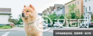 情商高的人,八字特征是什么? 情商高的人,八字特征是什么?