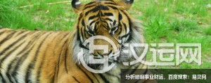 烧香拜佛不懂这几点再拜也无用 烧香拜佛不懂这几点再拜也无用