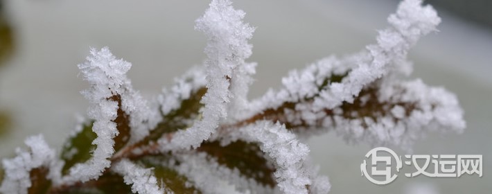 盘点经常冲动消费又后悔的生肖 盘点经常冲动消费又后悔的生肖