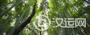 十二生肖运程忠告,不看后悔一年 十二生肖运程忠告,不看后悔一年