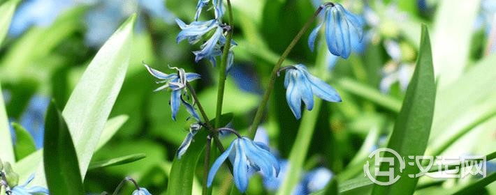 气质高雅的女孩名字大全 气质高雅的女孩名字大全