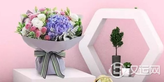 星座花儿,拥抱幸福浪漫双鱼座