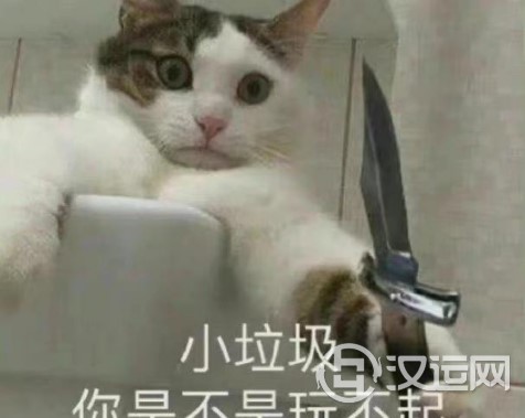 大直肠子星座,瞎说什么大实话