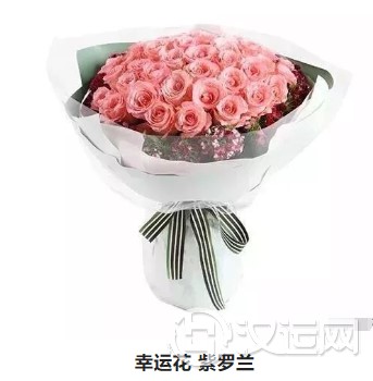 星座花儿,拥抱幸福浪漫双鱼座