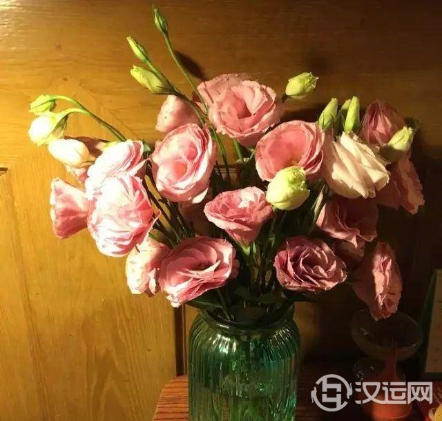 十二星座的妈妈都适合送什么花