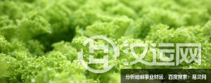 看起来难撩,其实很好追的星座 看起来难撩,其实很好追的星座